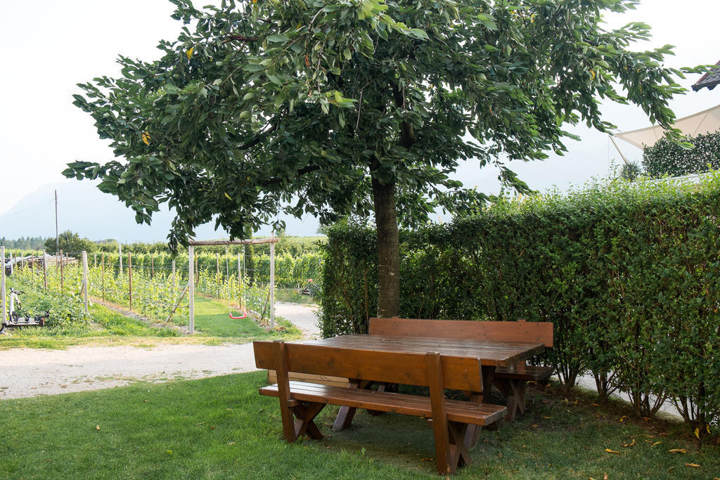 Ferienwohnung Pippohof Appiano Sulla Strada Del Vino Room photo
